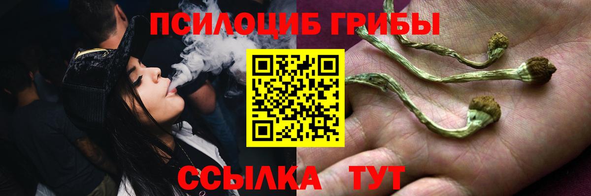 Набережные Челны  Псилоцибиновые грибы мицелий  Вход с VPN  Галлюциногенные грибы прущие грибы 